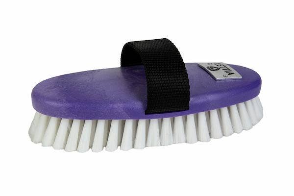 Lettia Body Brush Plastic Back: Purple / STD