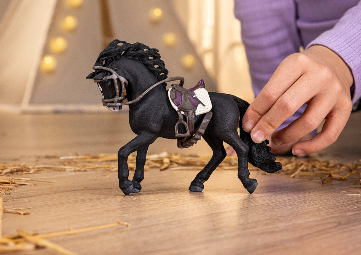 Pura Raza Espanola Stallion with Saddle and Bridle